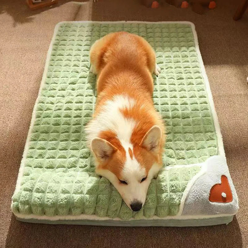 CAMA MASCOTA ORTOPEDICA