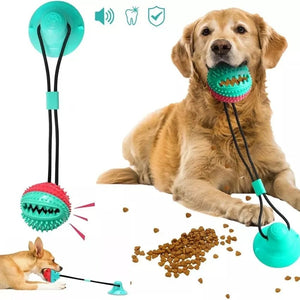 Juguete pelota masticable para perro